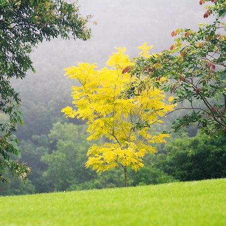 Mt Glorious Getaways Villa Mount Glorious ภายนอก รูปภาพ