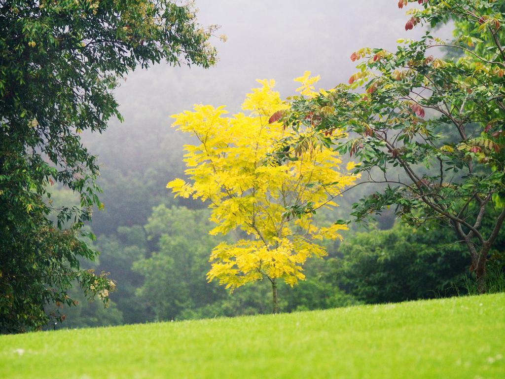 Mt Glorious Getaways Villa Mount Glorious ภายนอก รูปภาพ