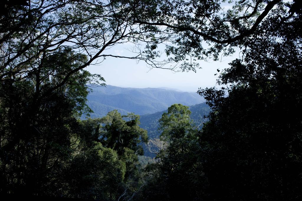 Mt Glorious Getaways Villa Mount Glorious ภายนอก รูปภาพ