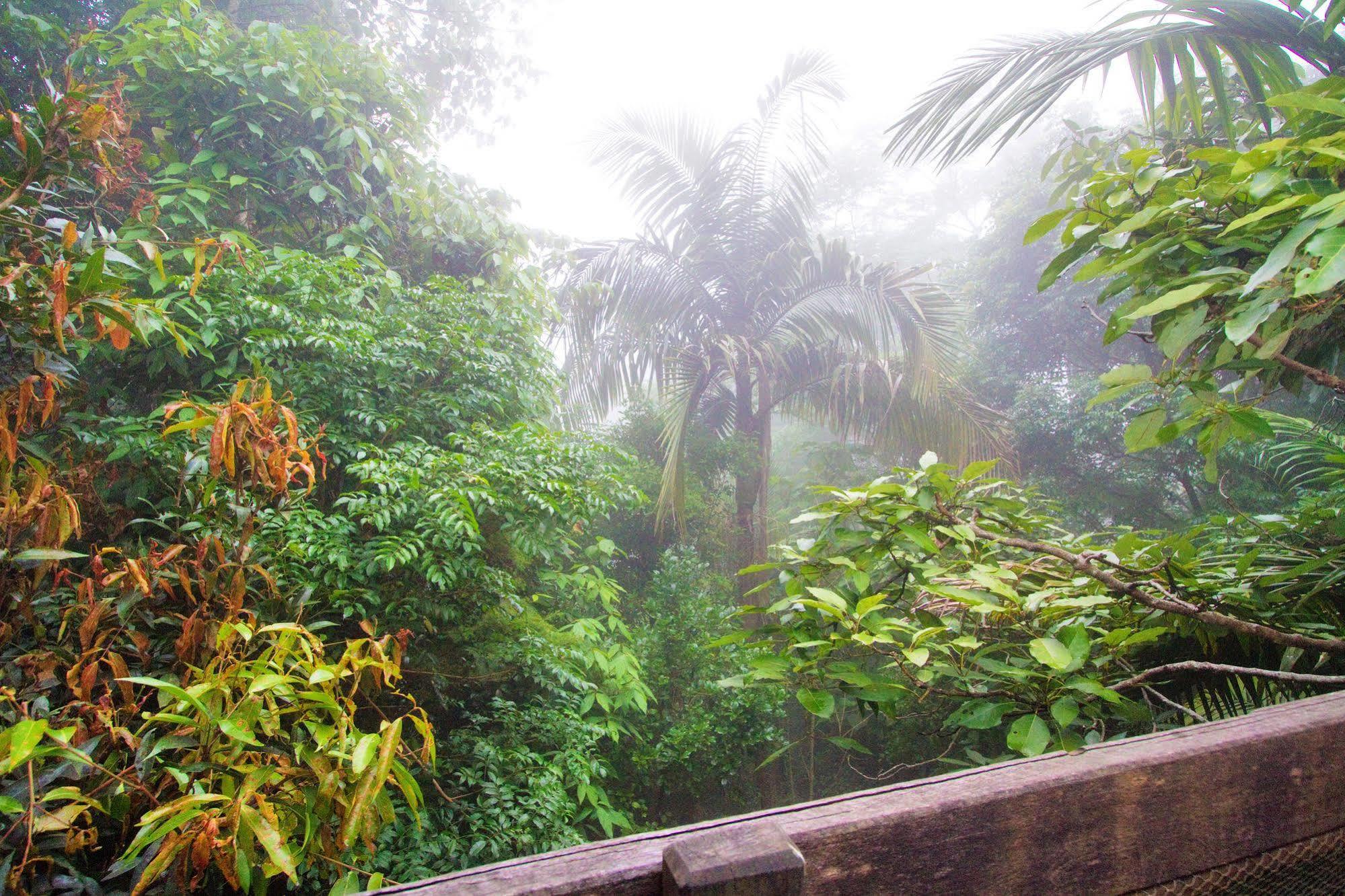 Mt Glorious Getaways Villa Mount Glorious ภายนอก รูปภาพ
